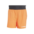 orange_5794