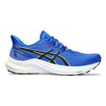 GT-2000 12 Stability running shoe Men - blue, black