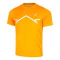 orange_5794