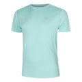 mint_11858