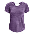 lilac_5681