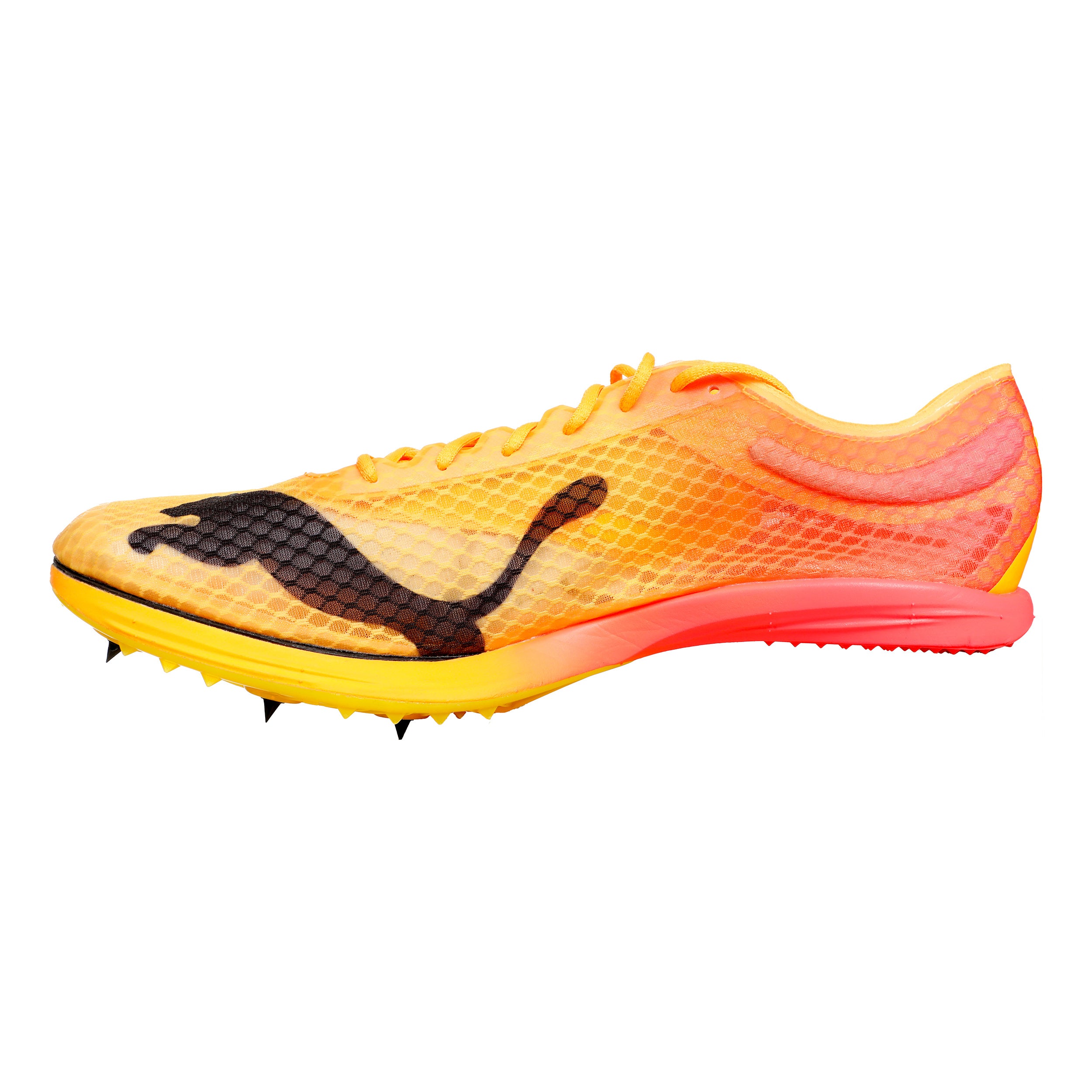 puma distance spikes