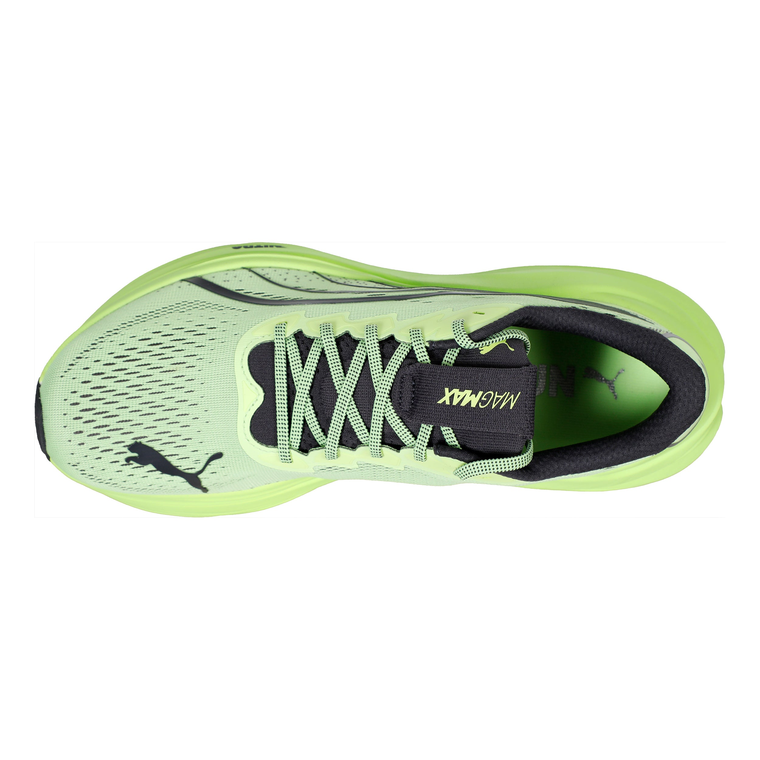 MagMax Nitro Neutral running shoe Men - green, grey | Running Point