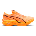 orange_5794