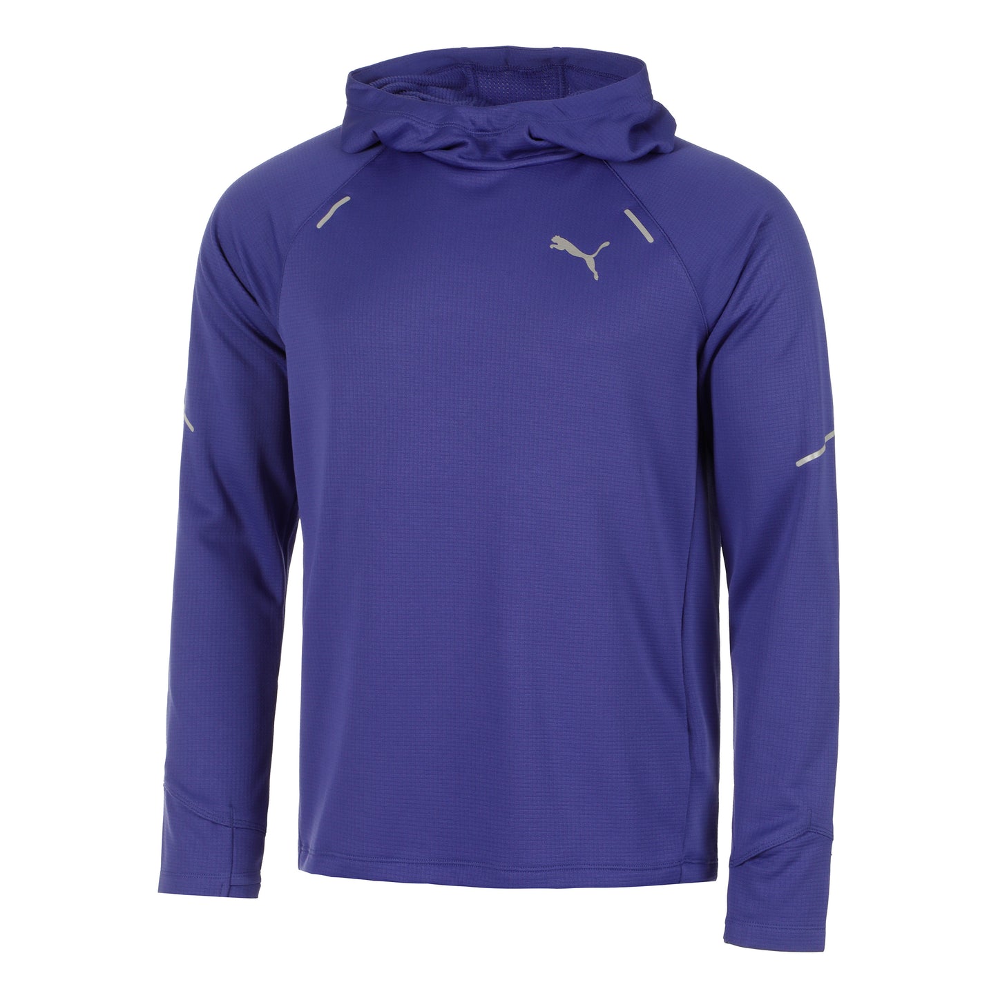 Puma Gridfleece Hoodie Hoody Men-Blue