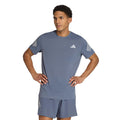 blue grey_34456