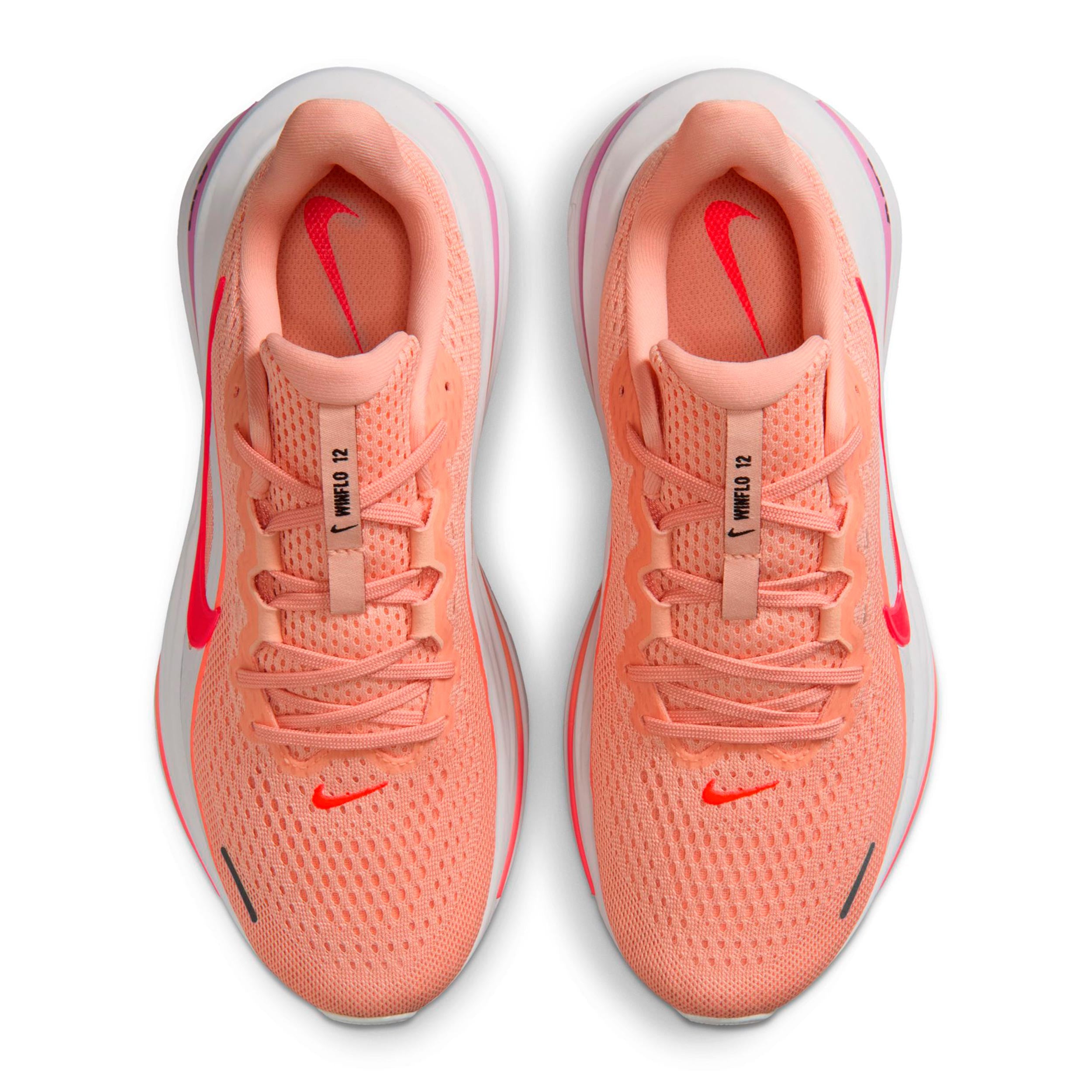 Winflo 12 Neutral running shoe Women - orange, apricot | Running Point