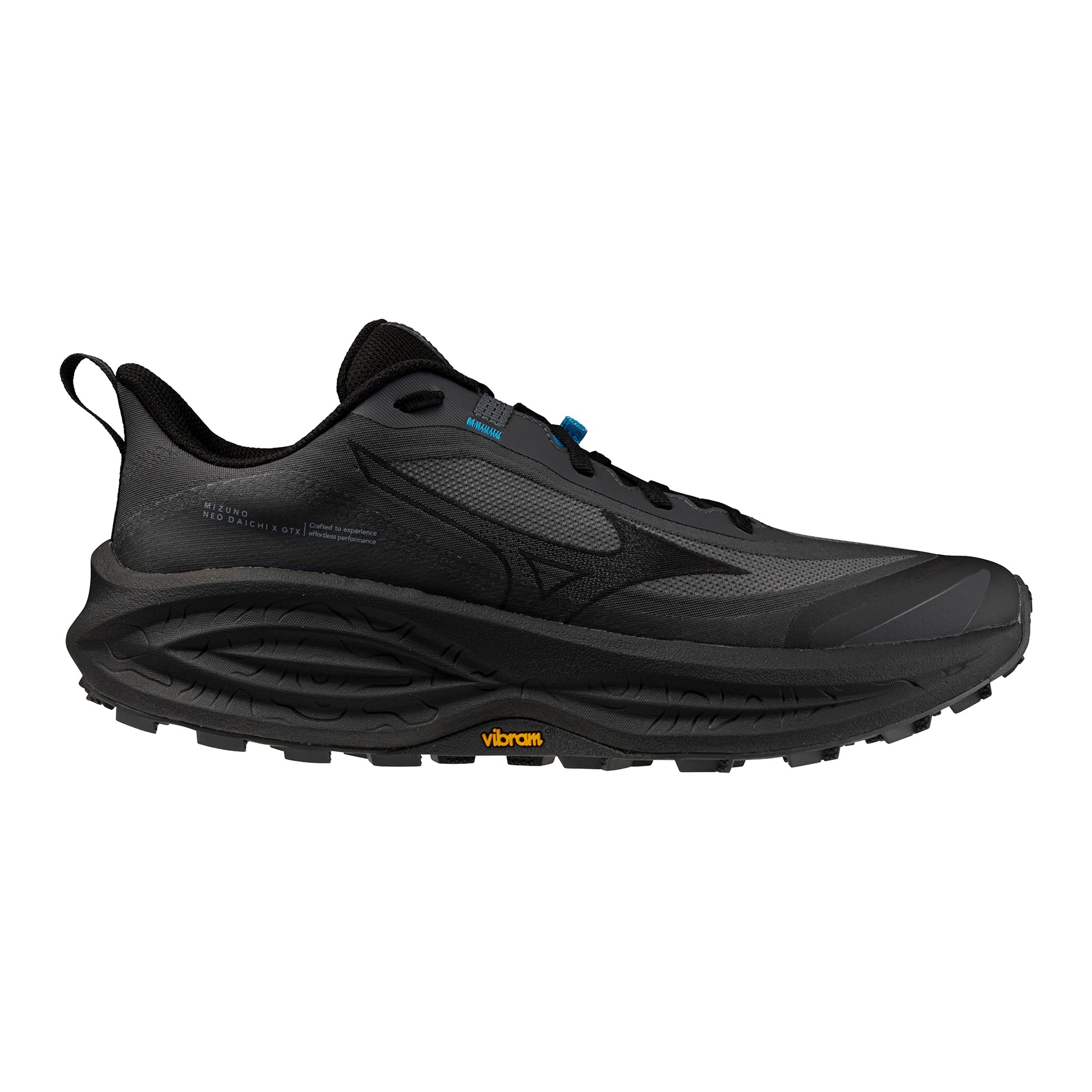 Neo Daichi 10 GTX Trail running shoe Men - dark grey, grey