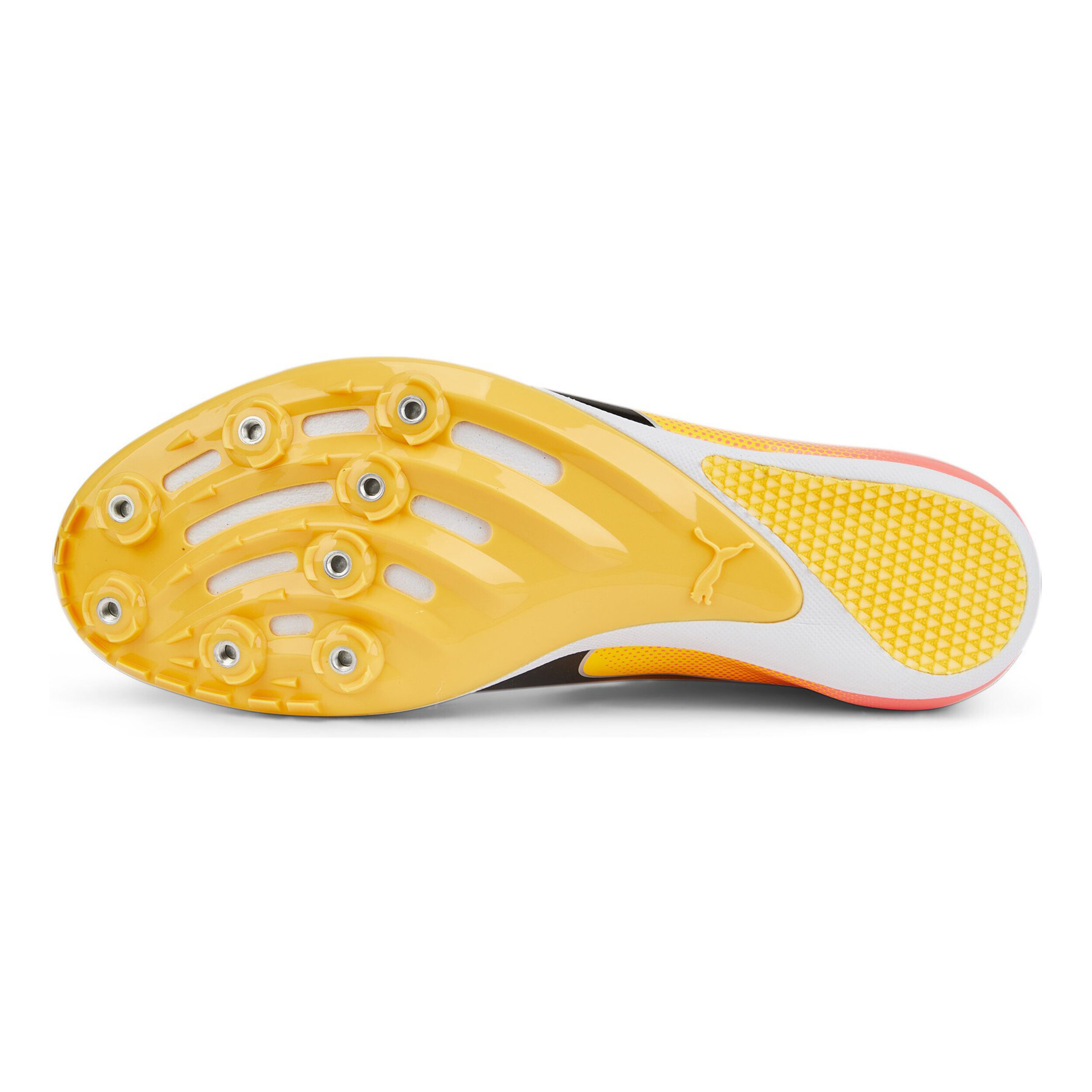 Buy Puma EvoSPEED Sprint 14 Spike Shoes Yellow, Orange