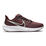 Air Zoom Pegasus 39