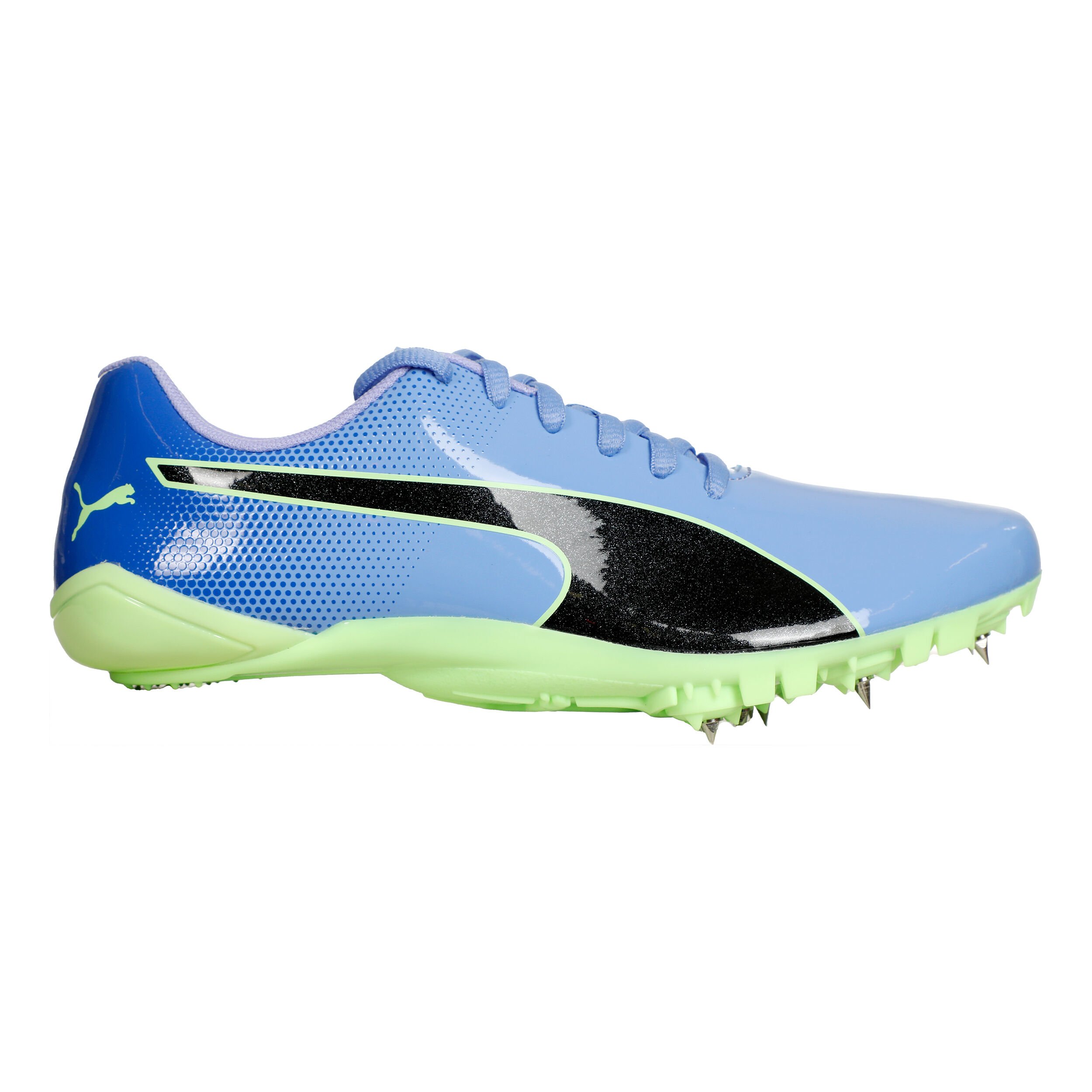 Puma evospeed shoes store