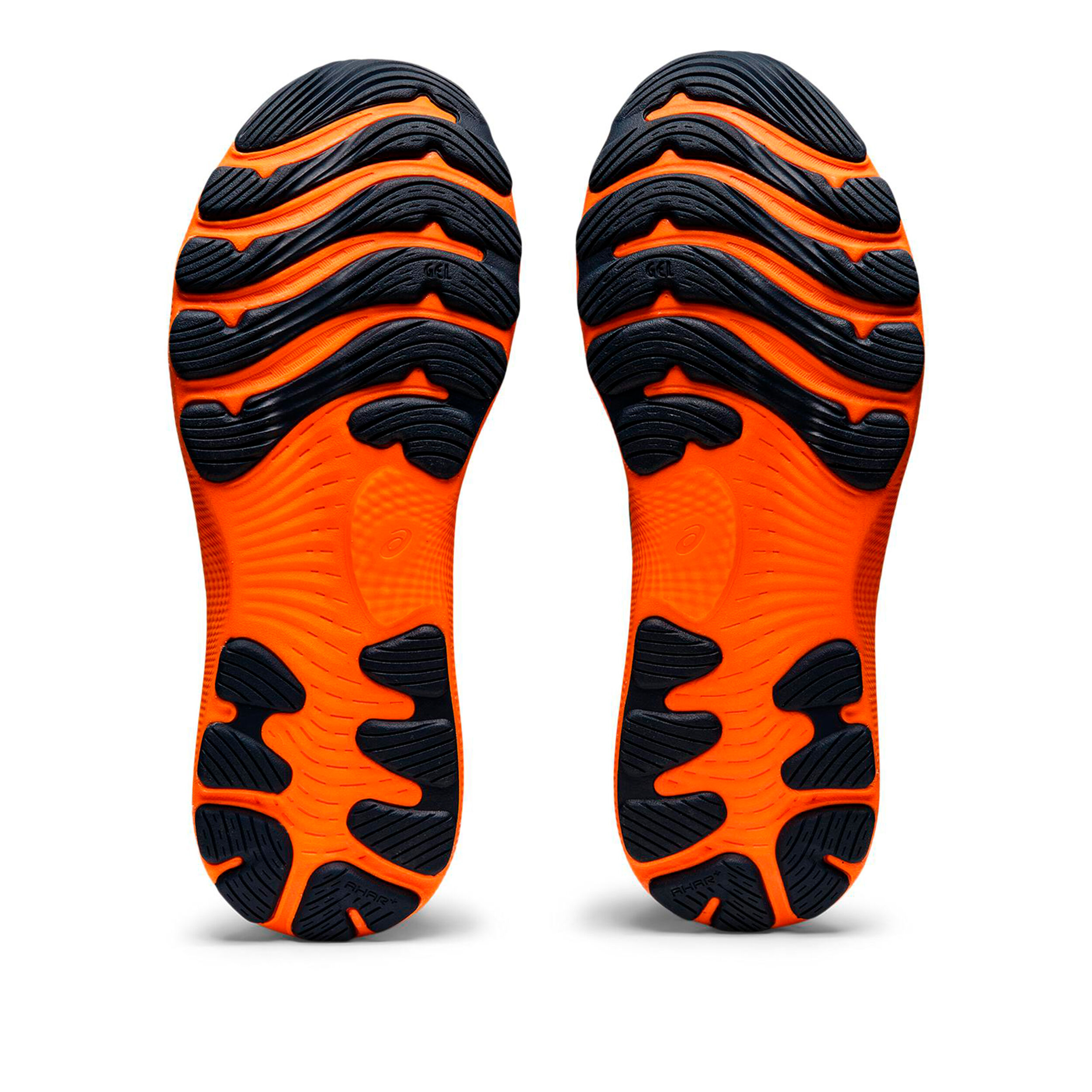 HemHem様用 ノアズアークBLUE & ORANGE HemHem様用 ノアズアークBLUE & ORANGE HemHem様用 ノアズアーク