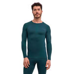 Falke Running clothes Falke Warm Long sleeve Men - green, 
