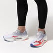 Mizuno