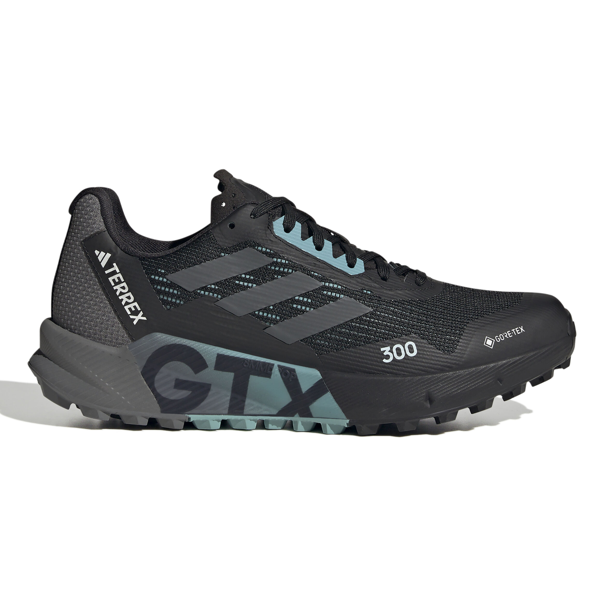 Terrex Agravic Flow 2 GTX Trail Running Shoe Women Black Grey