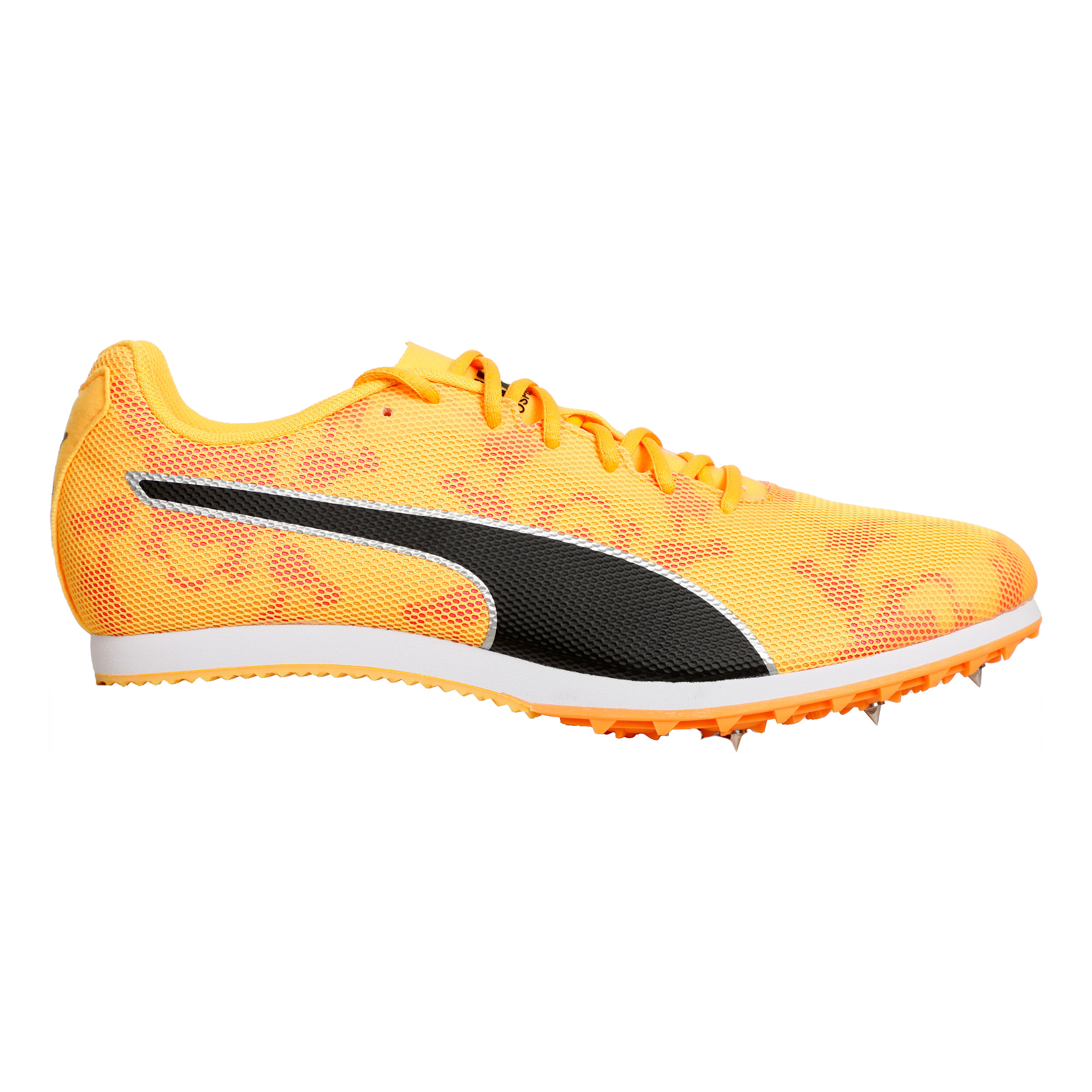 Buy Puma EvoSPEED Star 8 Spike Shoes Orange Yellow online Running Point COM