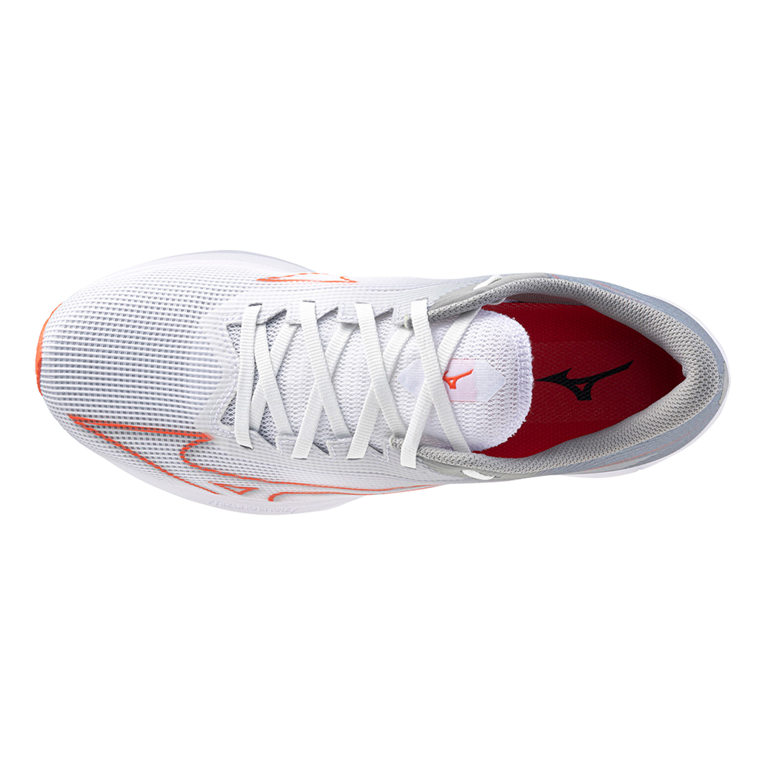 Sonic puma 80 2025