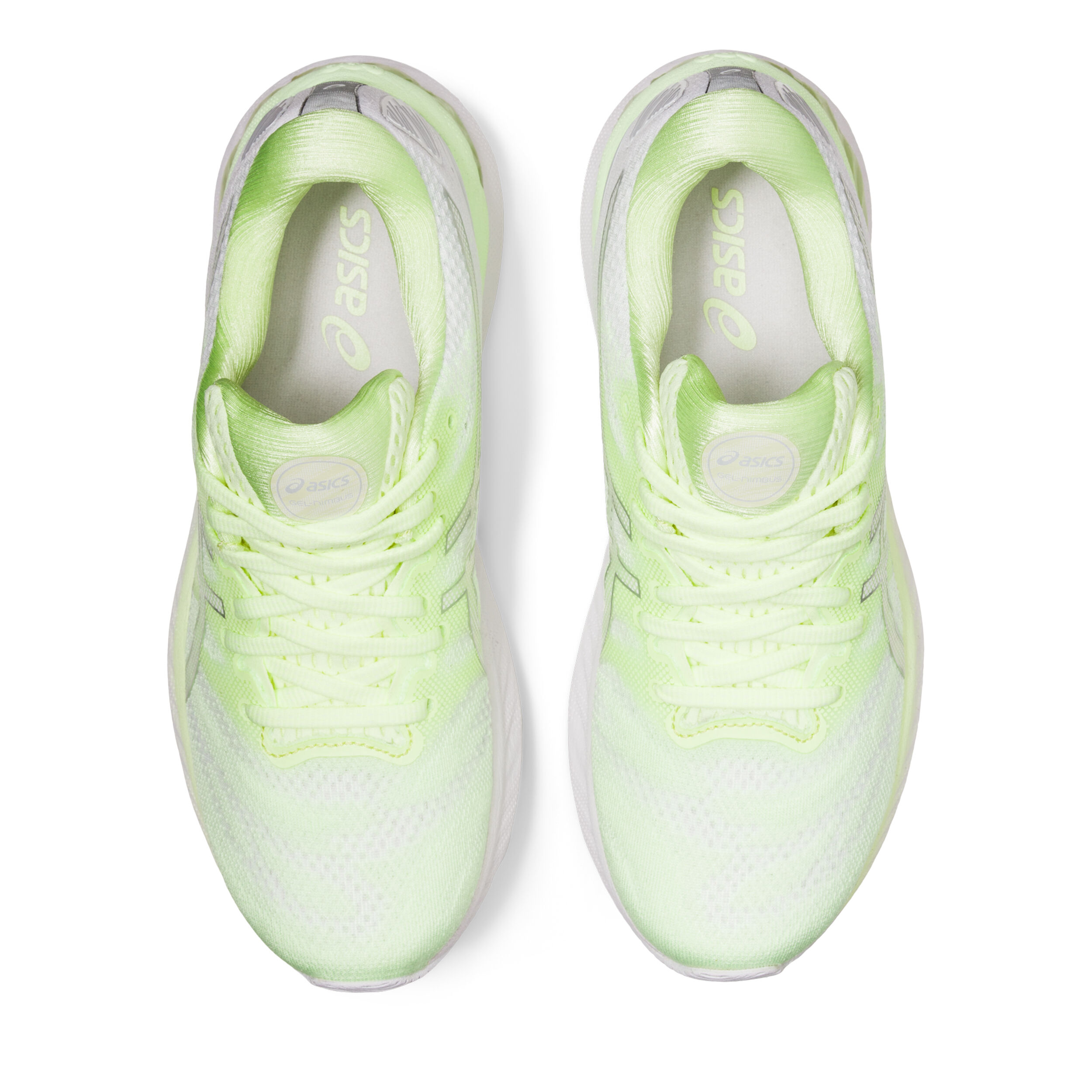 Nimbus 39 hot sale