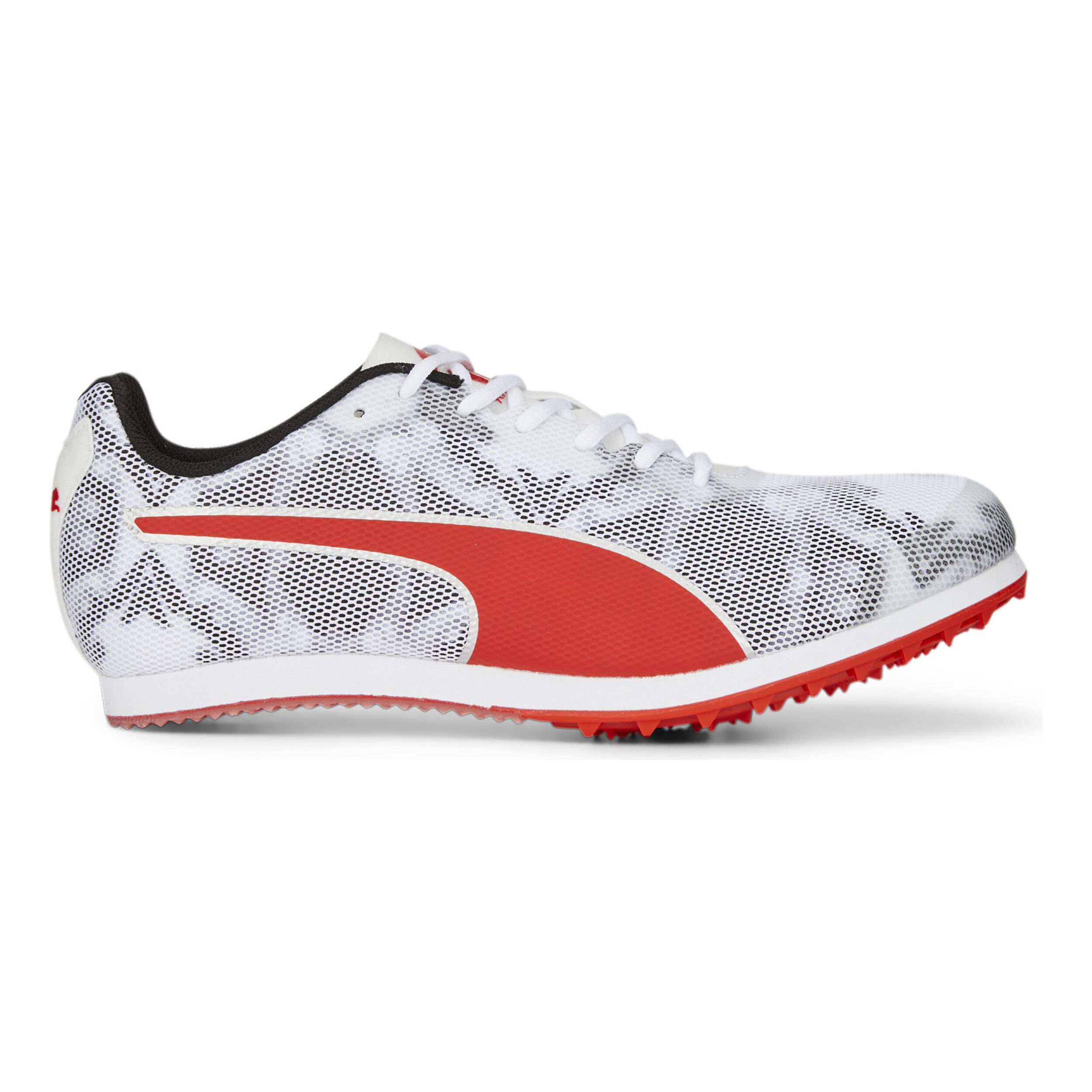 Buy Puma EvoSPEED Star 8 Spike Shoes Kids Black White online Running Point COM