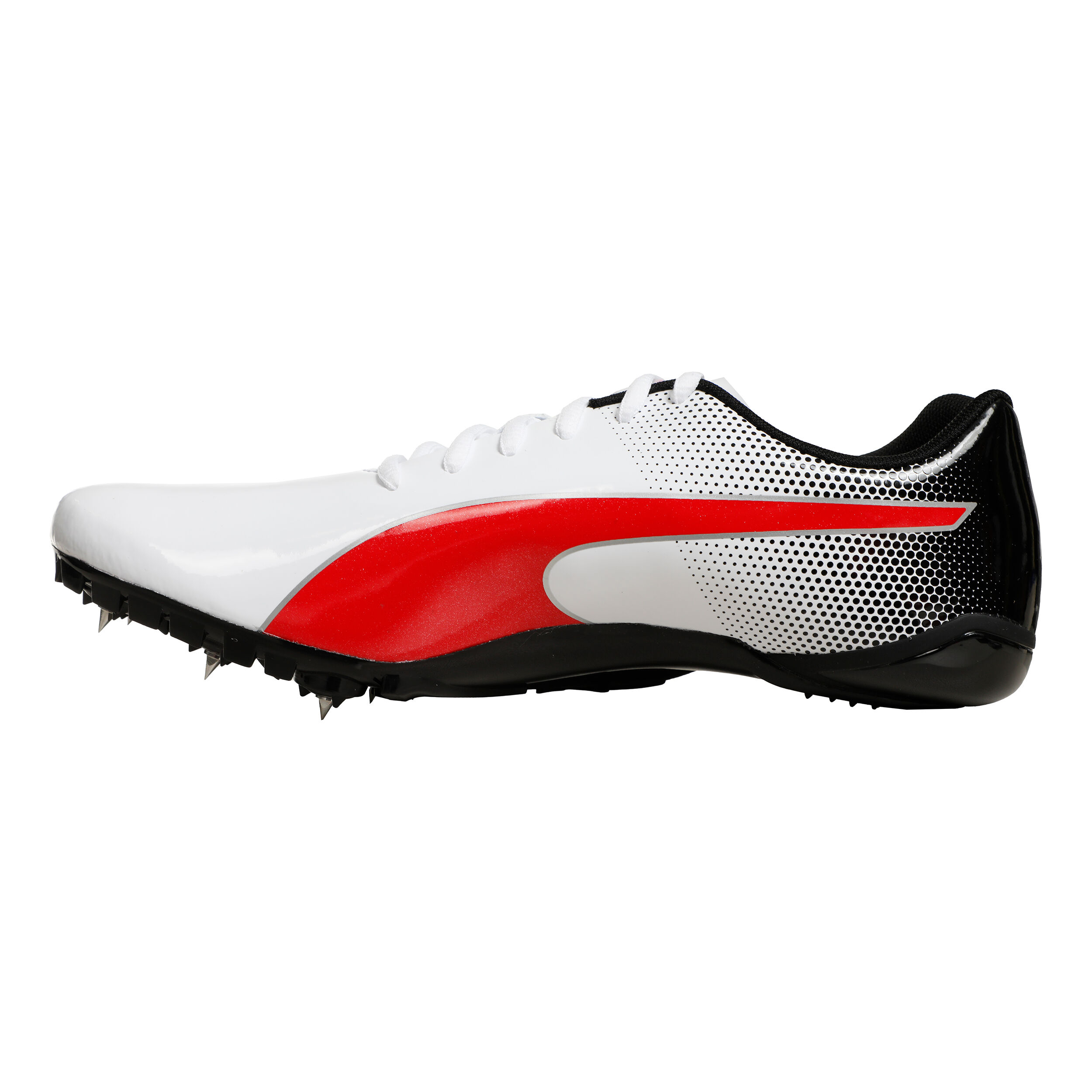 Puma evospeed all black online