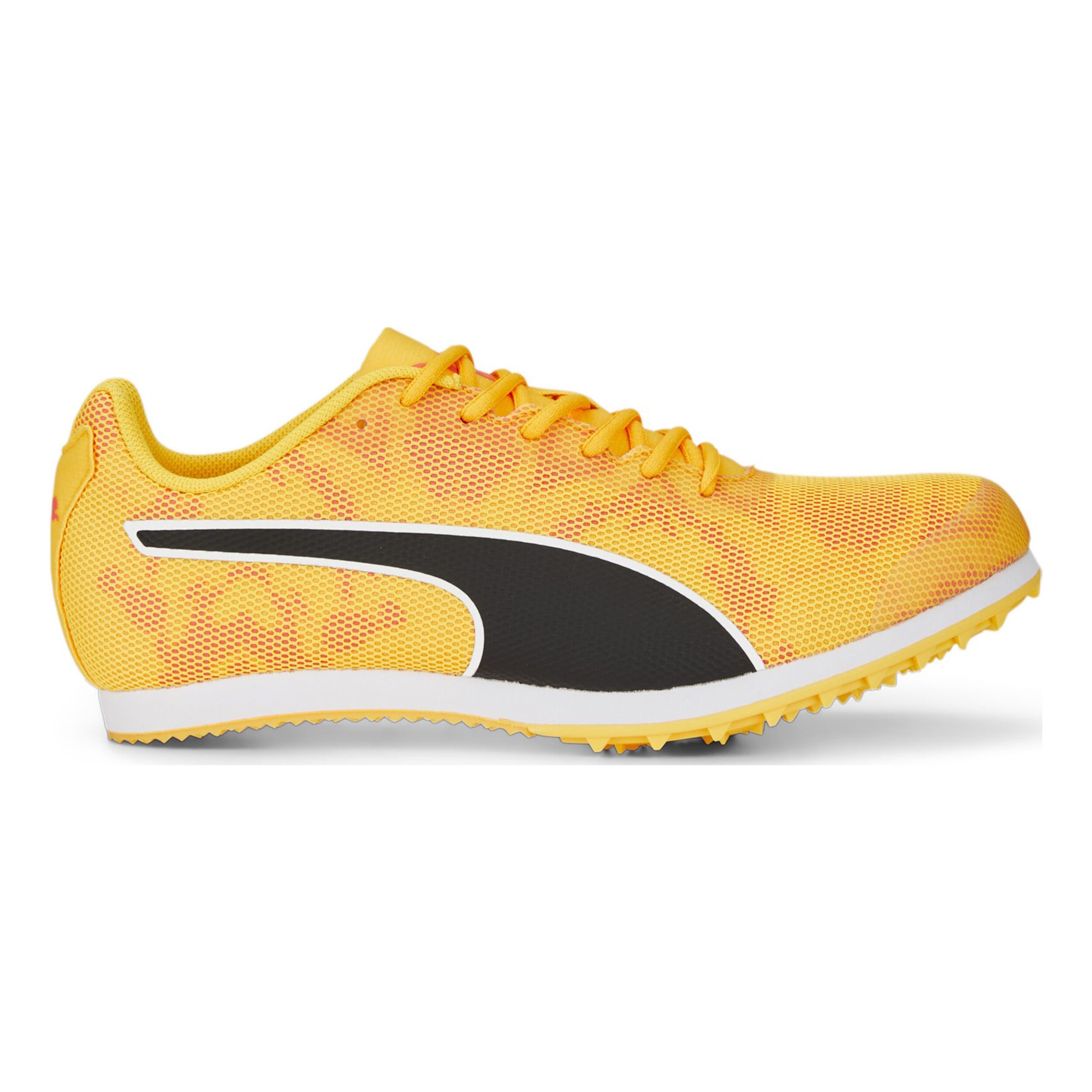 Buy Puma EvoSPEED Star 8 Spike Shoes Kids Orange Yellow in size 38 online Running Point COM