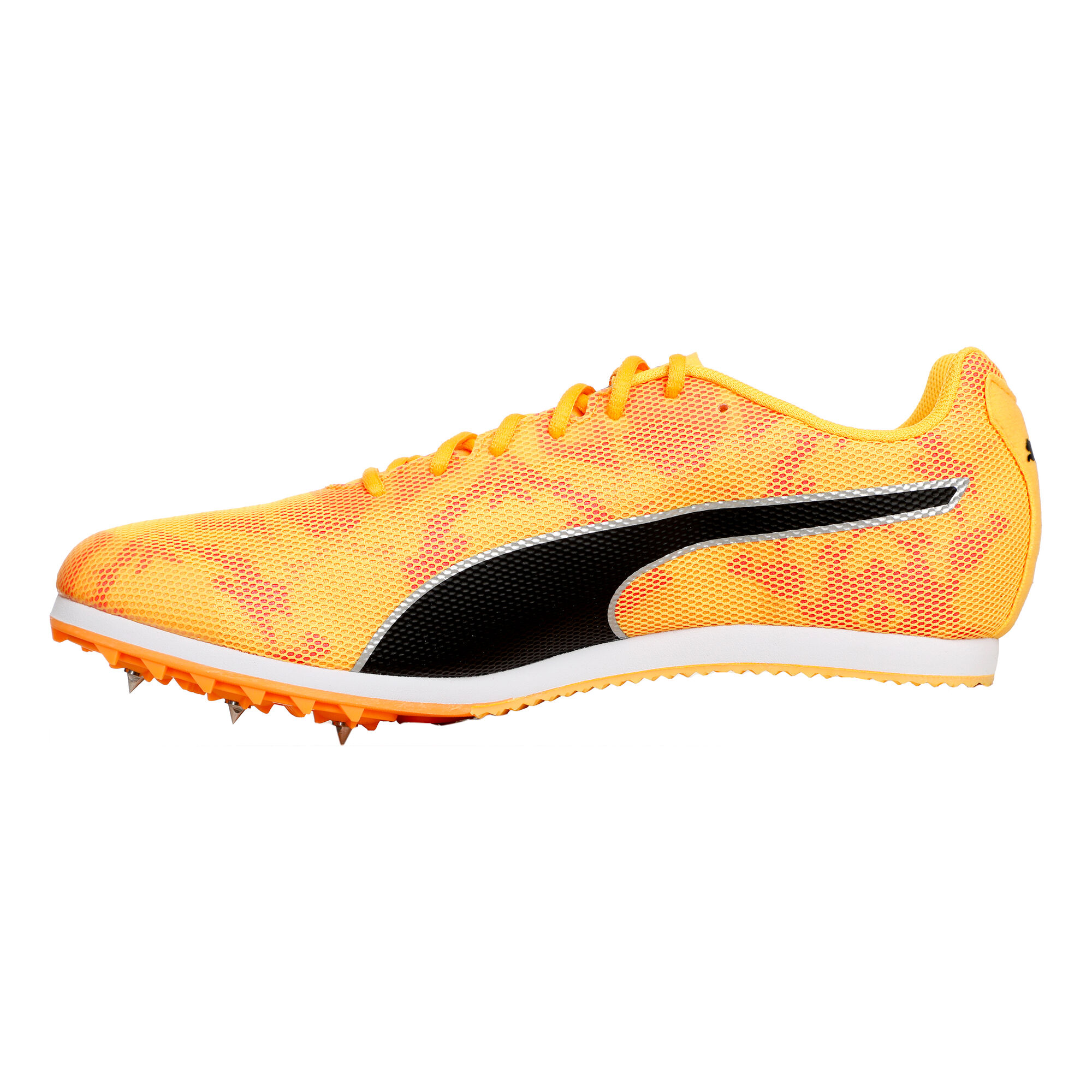 Verstikken Boos Correspondent favoriete Kerstmis kanaal puma evospeed star Wat leuk januari Zuidoost Verstikken Boos Correspondent favoriete Kerstmis kanaal puma evospeed star Wat leuk januari Zuidoost