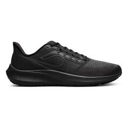 Air Zoom Pegasus 39