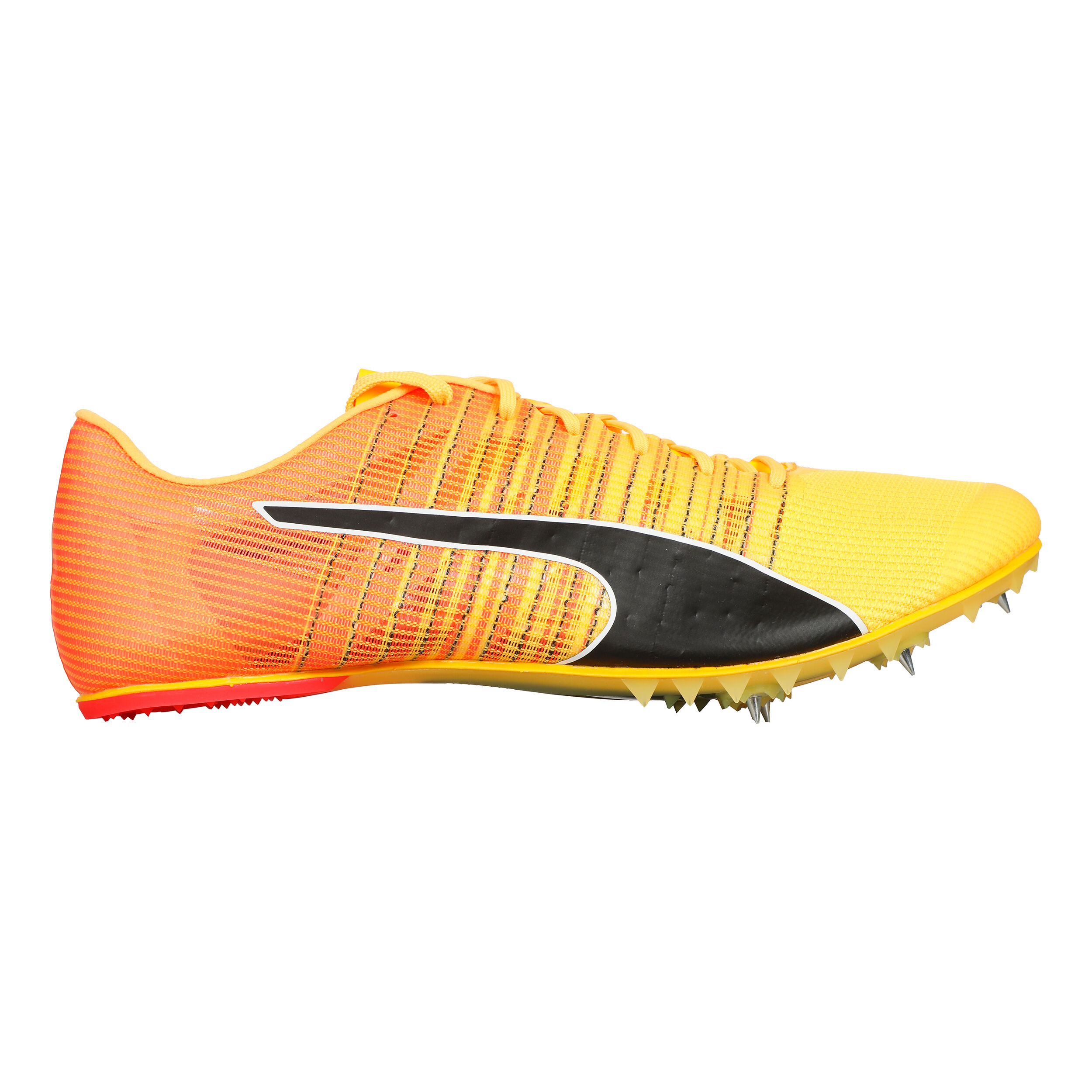 Puma gold spike 2025