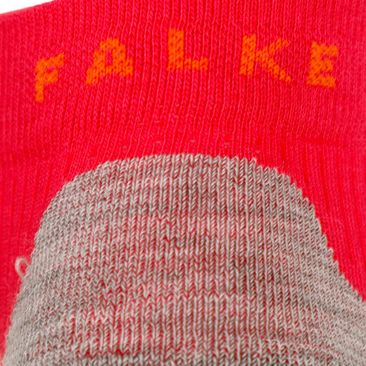 Falke