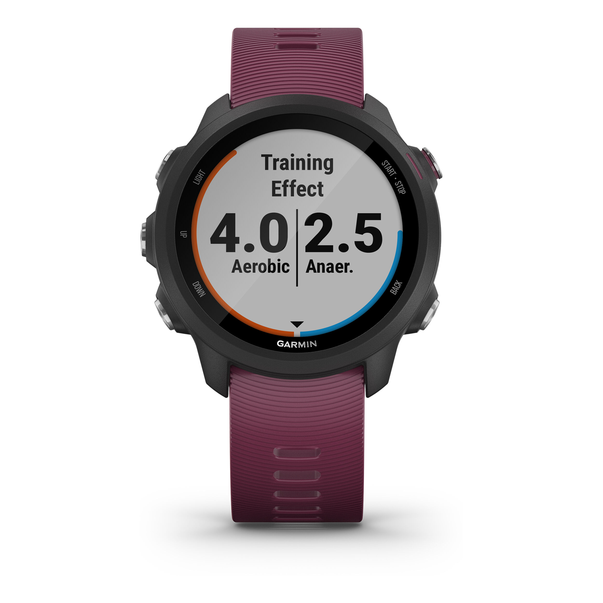 Garmin forerunner 245 colors shop