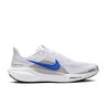 Pegasus 41