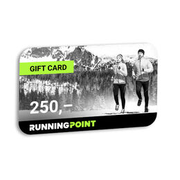 Voucher RP 250 Euro