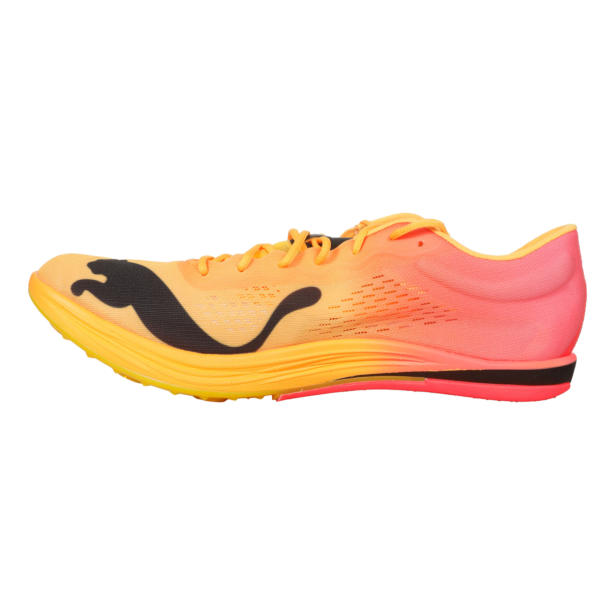 Buy Puma EvoSPEED Long Distance Nitro Elite Spike Shoes Men Orange Pink online Running Point COM