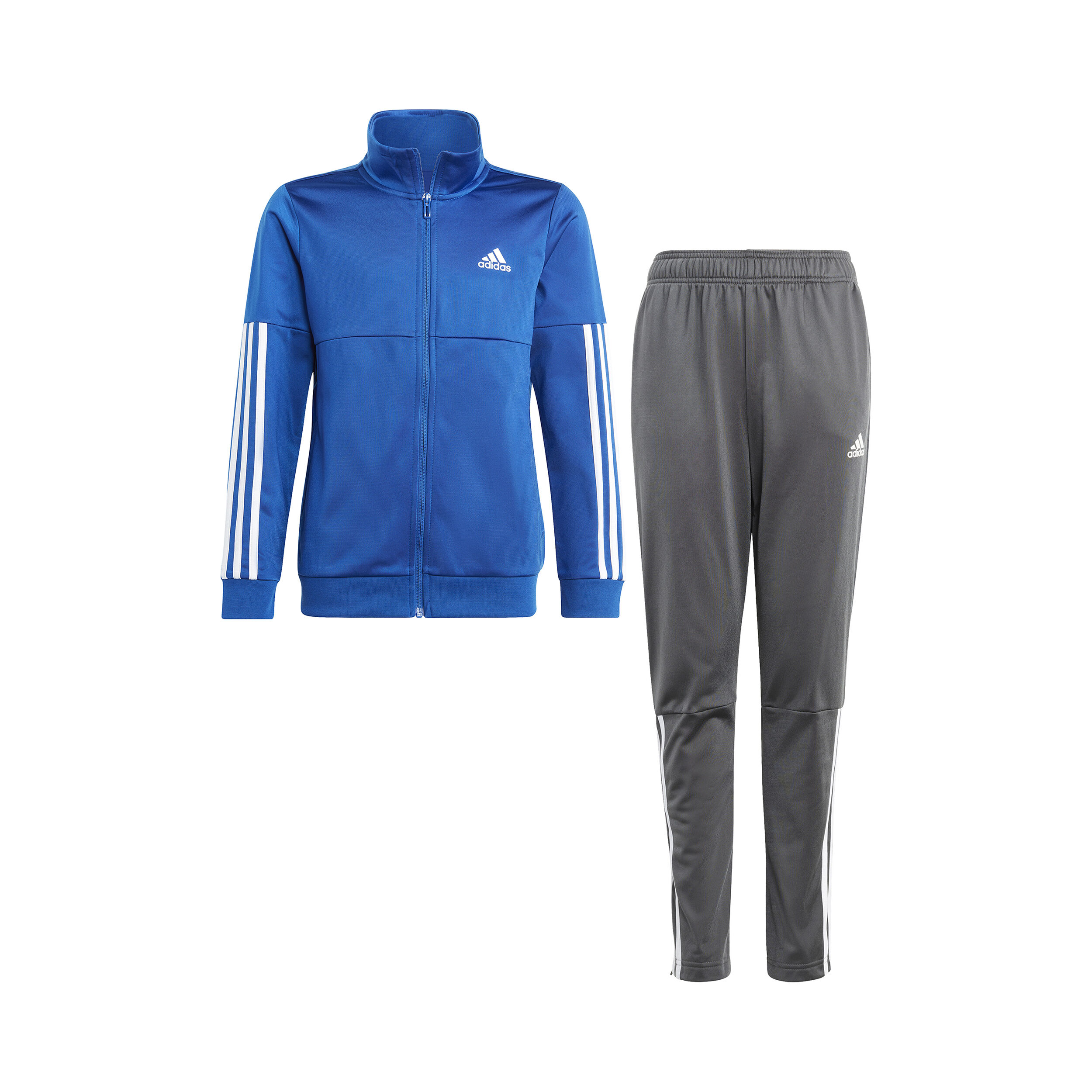 Pants azul rey adidas discount