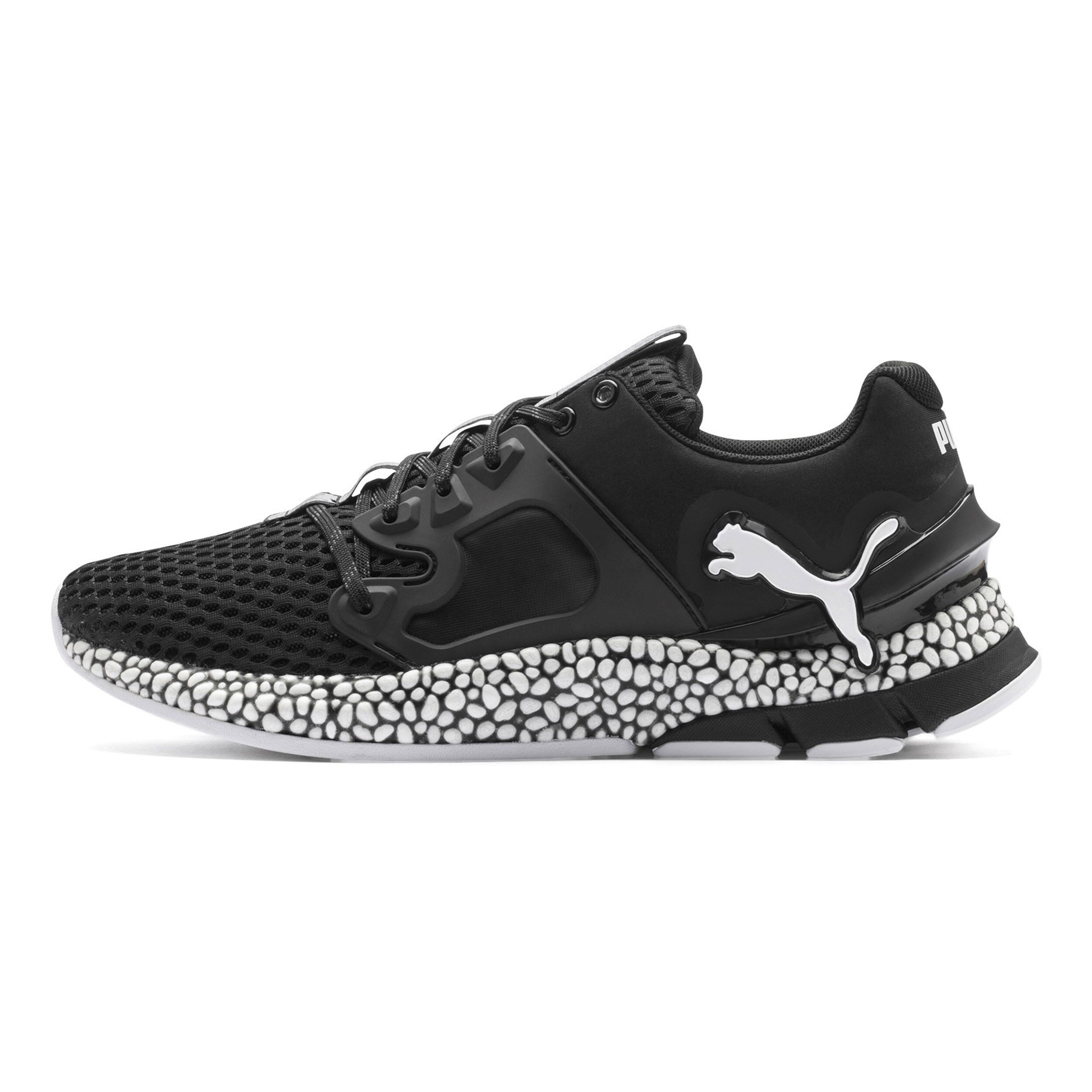 Hybrid sky puma online