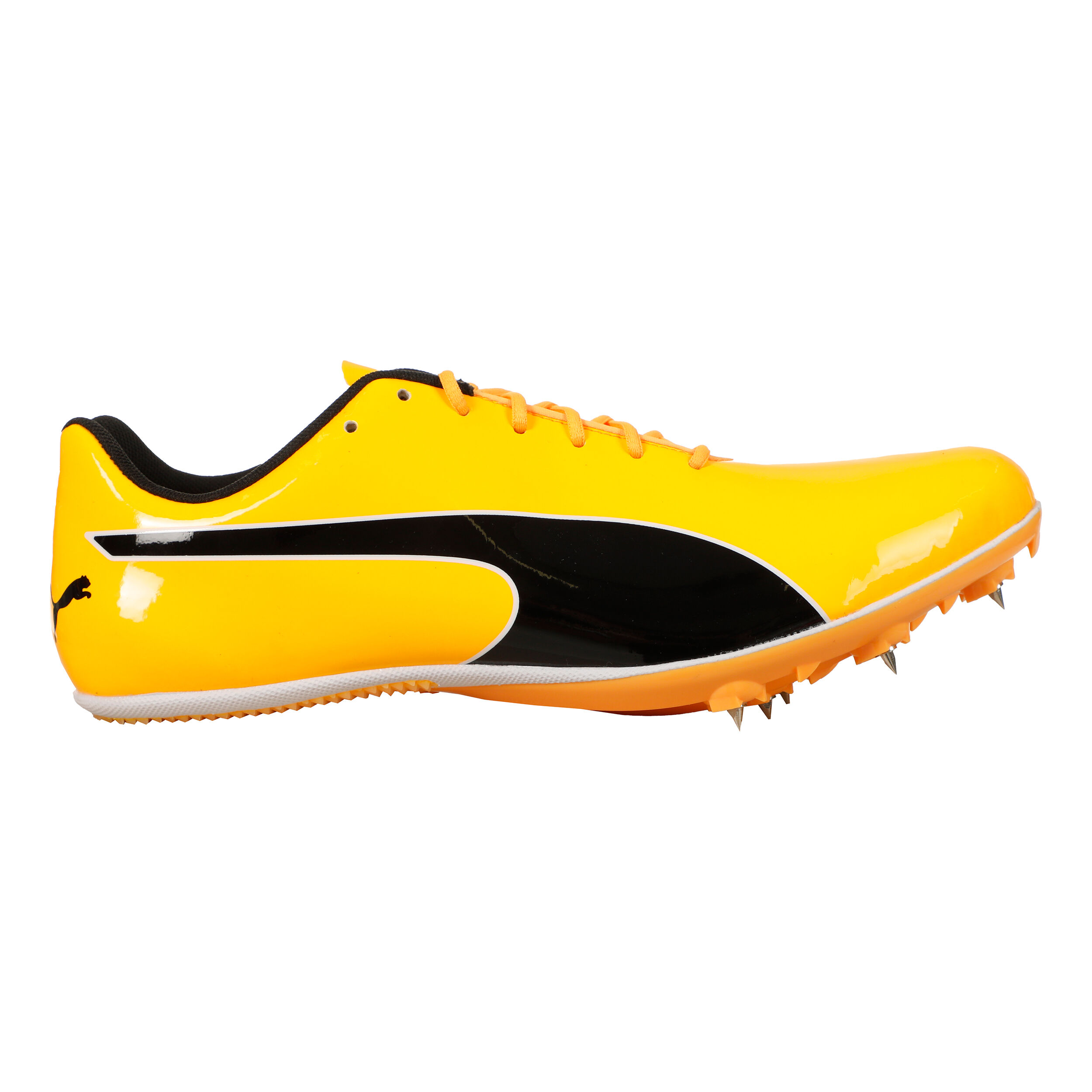 Buy Puma EvoSPEED Sprint 14.5 Spike Shoes Orange Black online Running Point COM