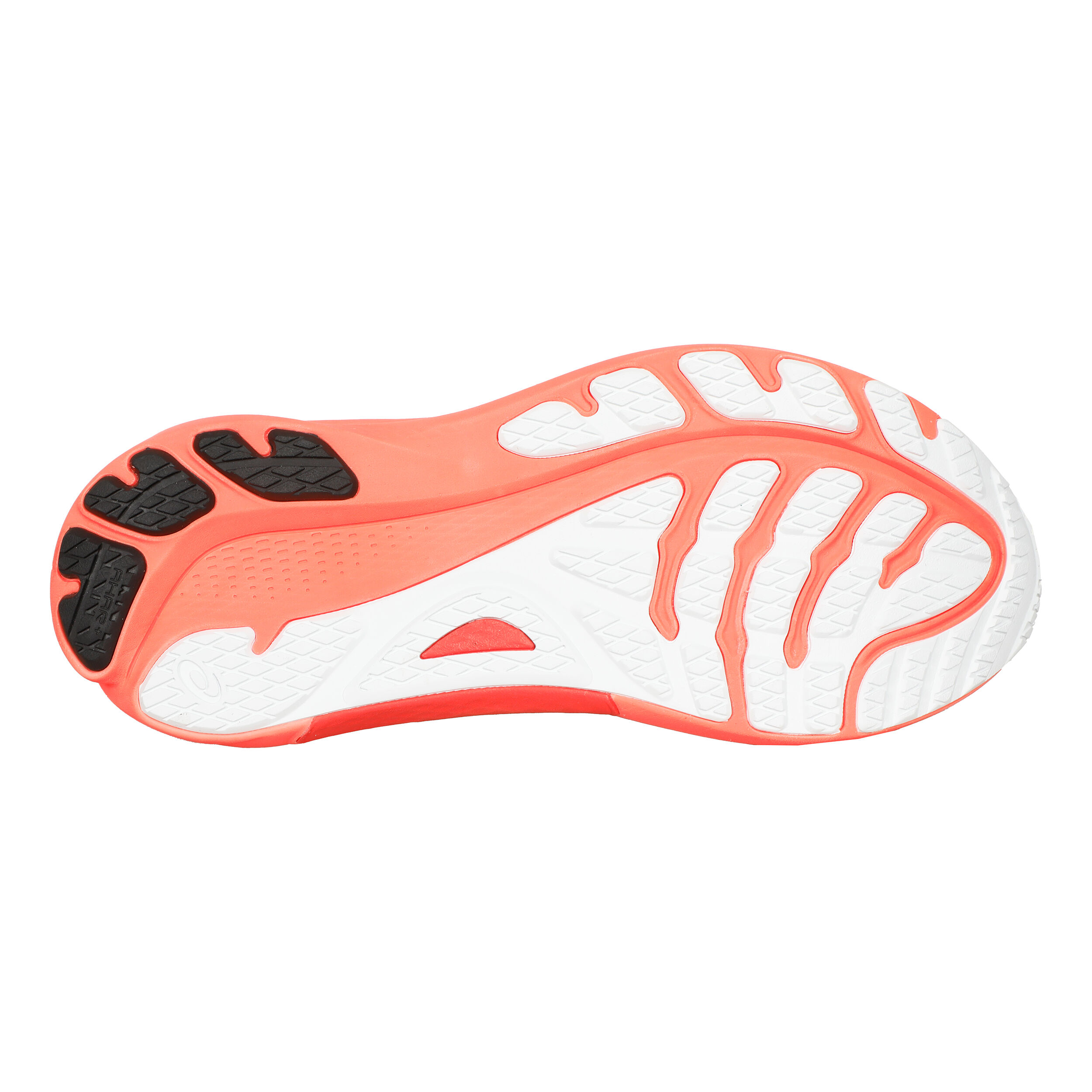 Gel kayano coral shop
