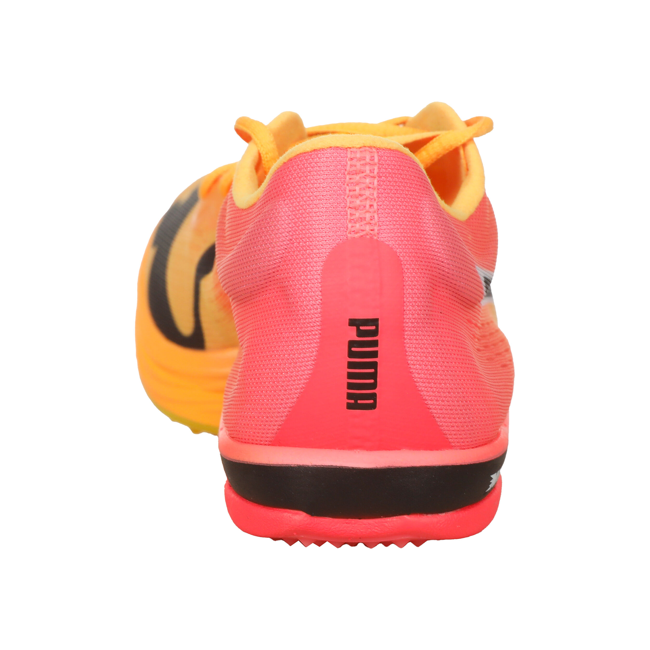 Buy Puma EvoSPEED Long Distance Nitro Elite+ Spike Shoes Men