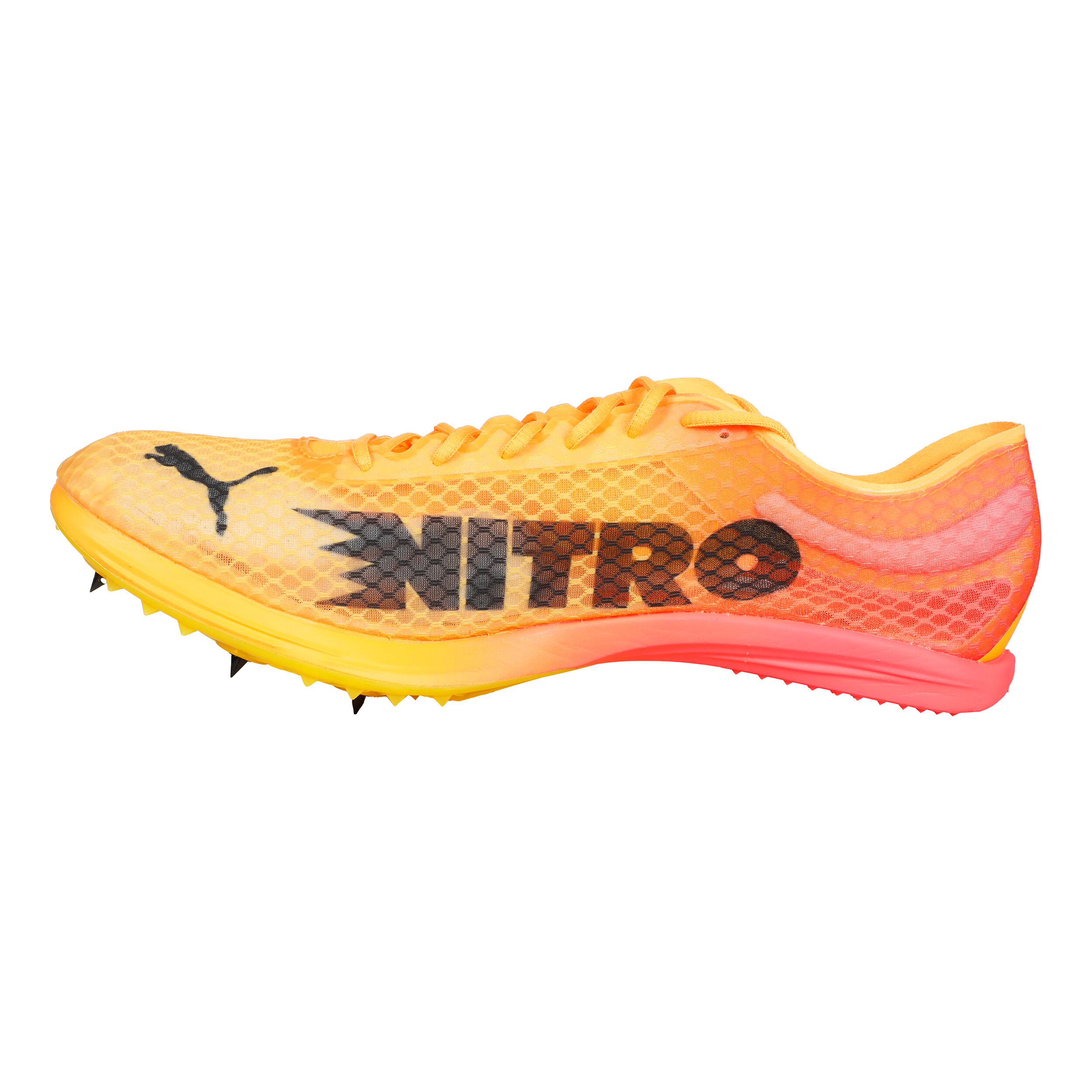Buy Puma EvoSPEED Distance Nitro Elite 4 Spike Shoes Orange Black in size 46 online Running Point COM