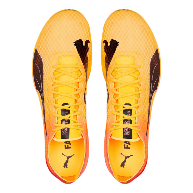Buy Puma EvoSPEED Distance Nitro Elite+ 2 Spike Shoes Yellow, Orange