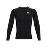 Heatgear Comp Long Sleeve Men-Black,White