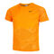 Dri-Fit Advantage Run Divine Techknit Shortsleeve