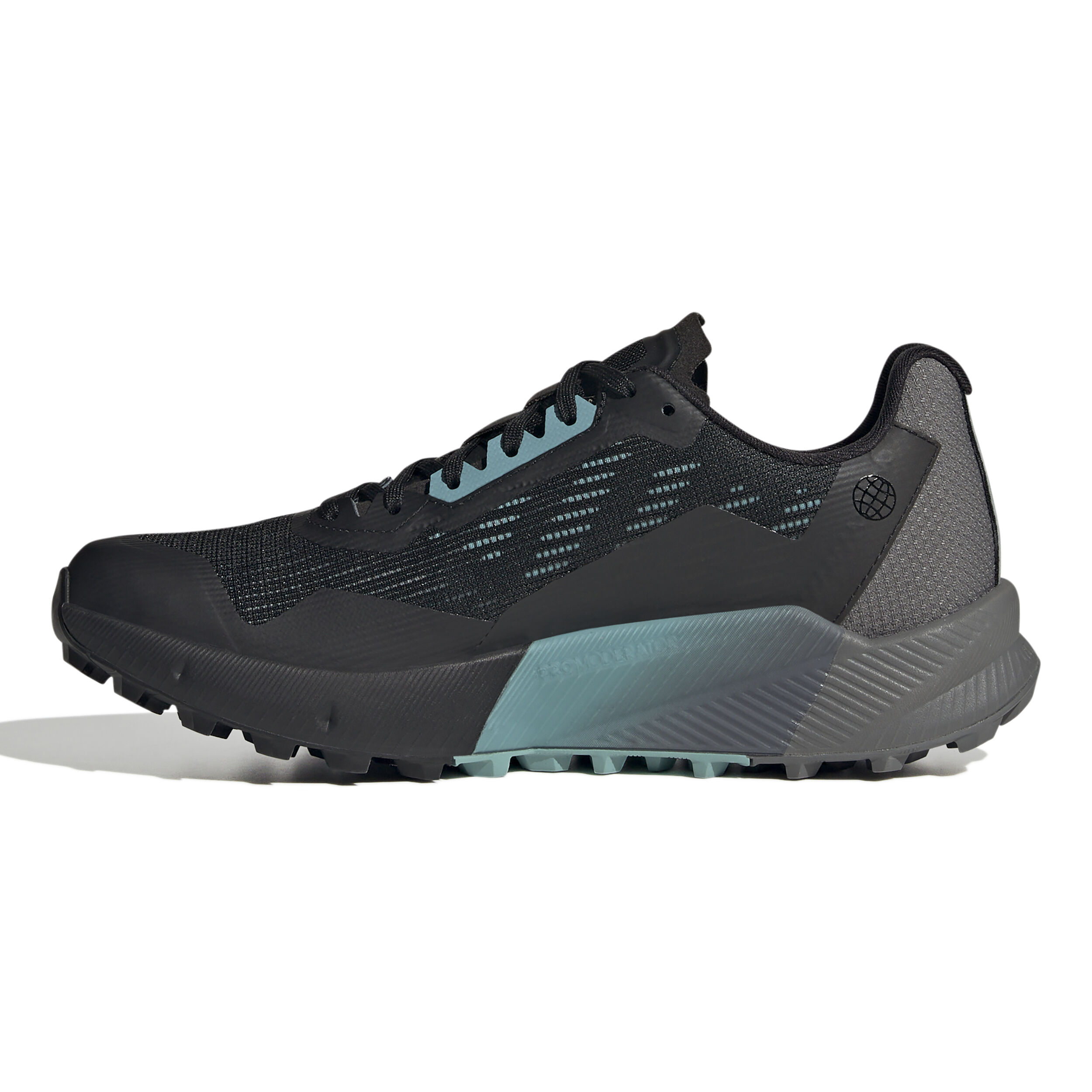 Buy adidas Terrex Agravic Flow 2 GTX Trail Running Shoe Women Black Grey online Running Point COM