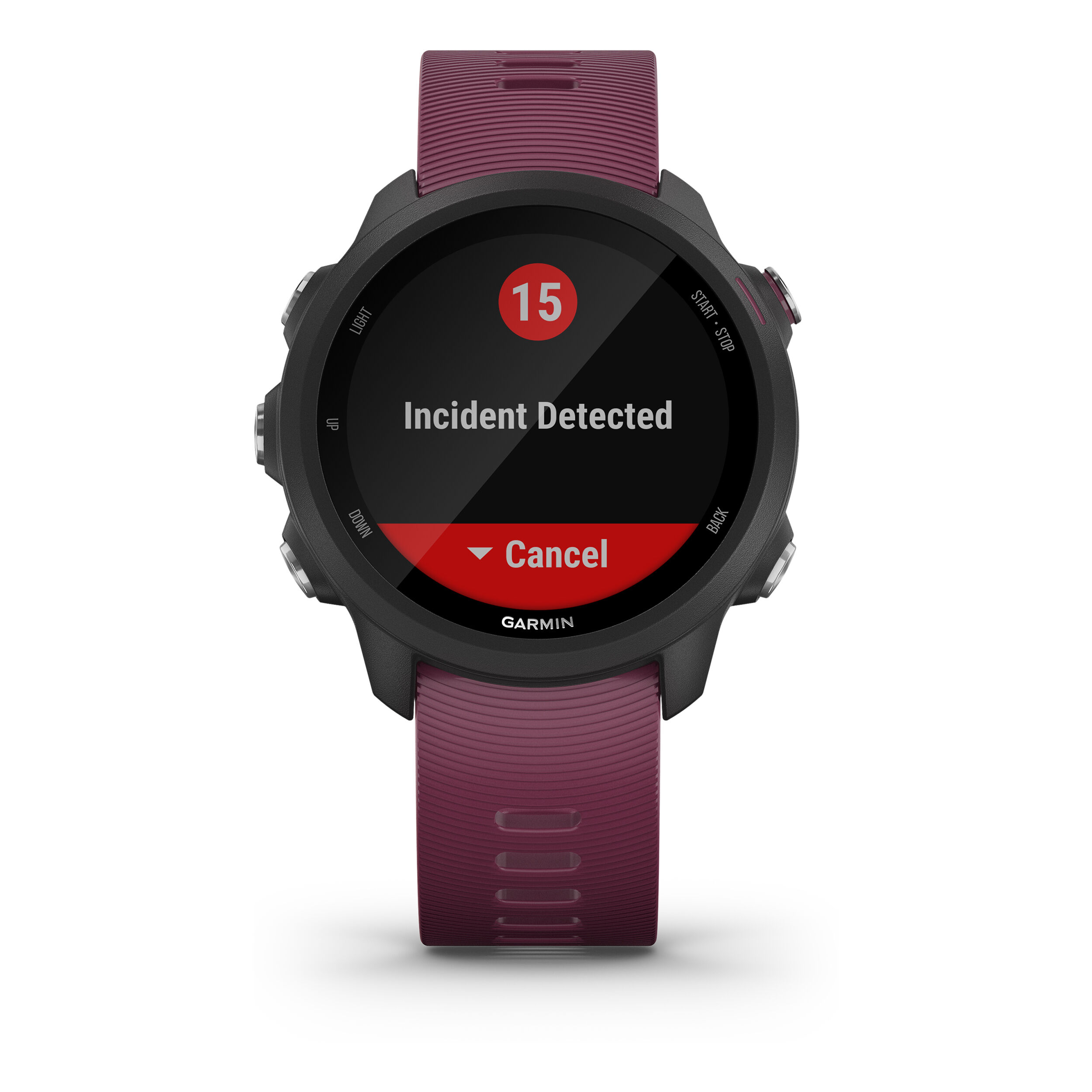 Forerunner 245 best sale berry