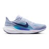 Pegasus 41