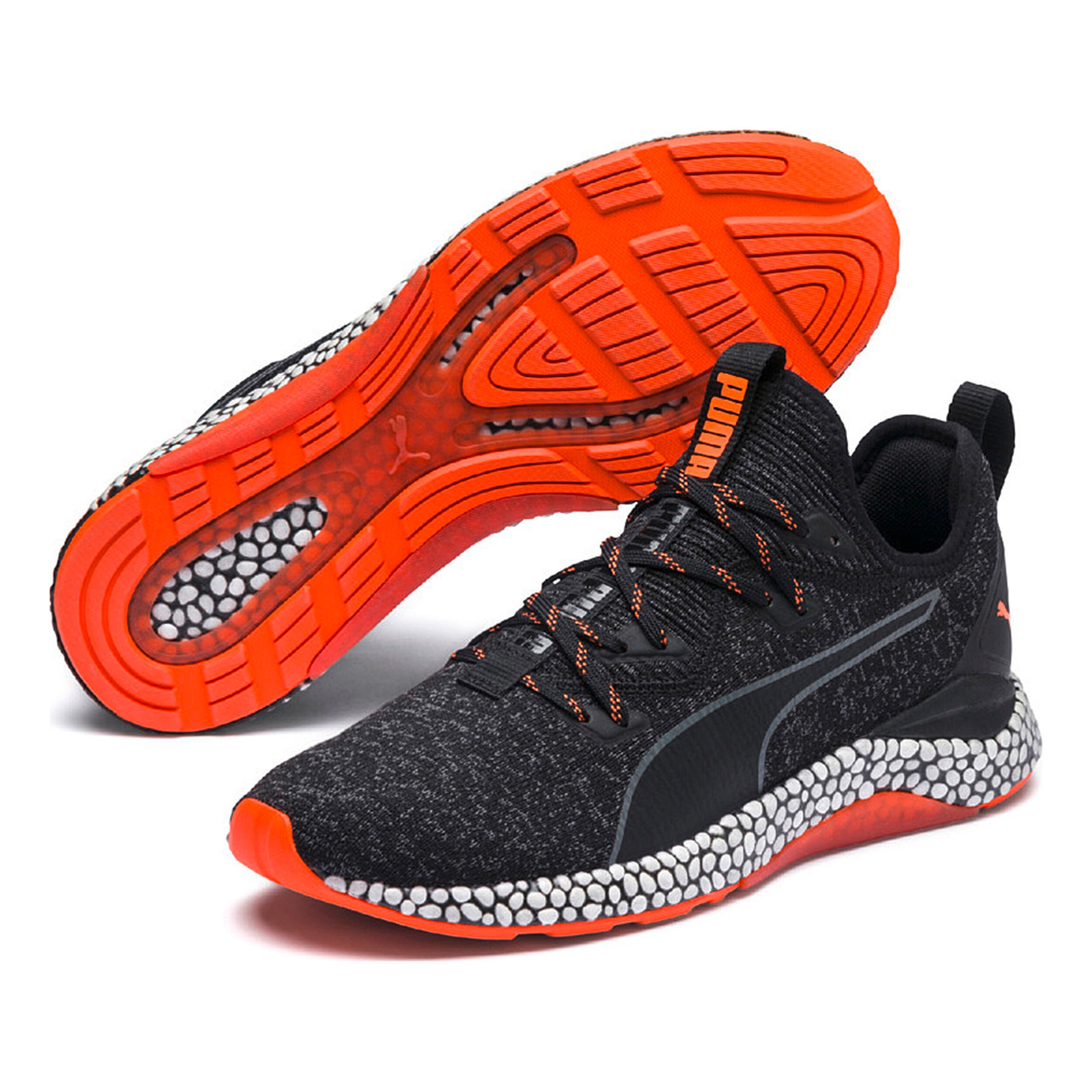 Puma unrest 2025