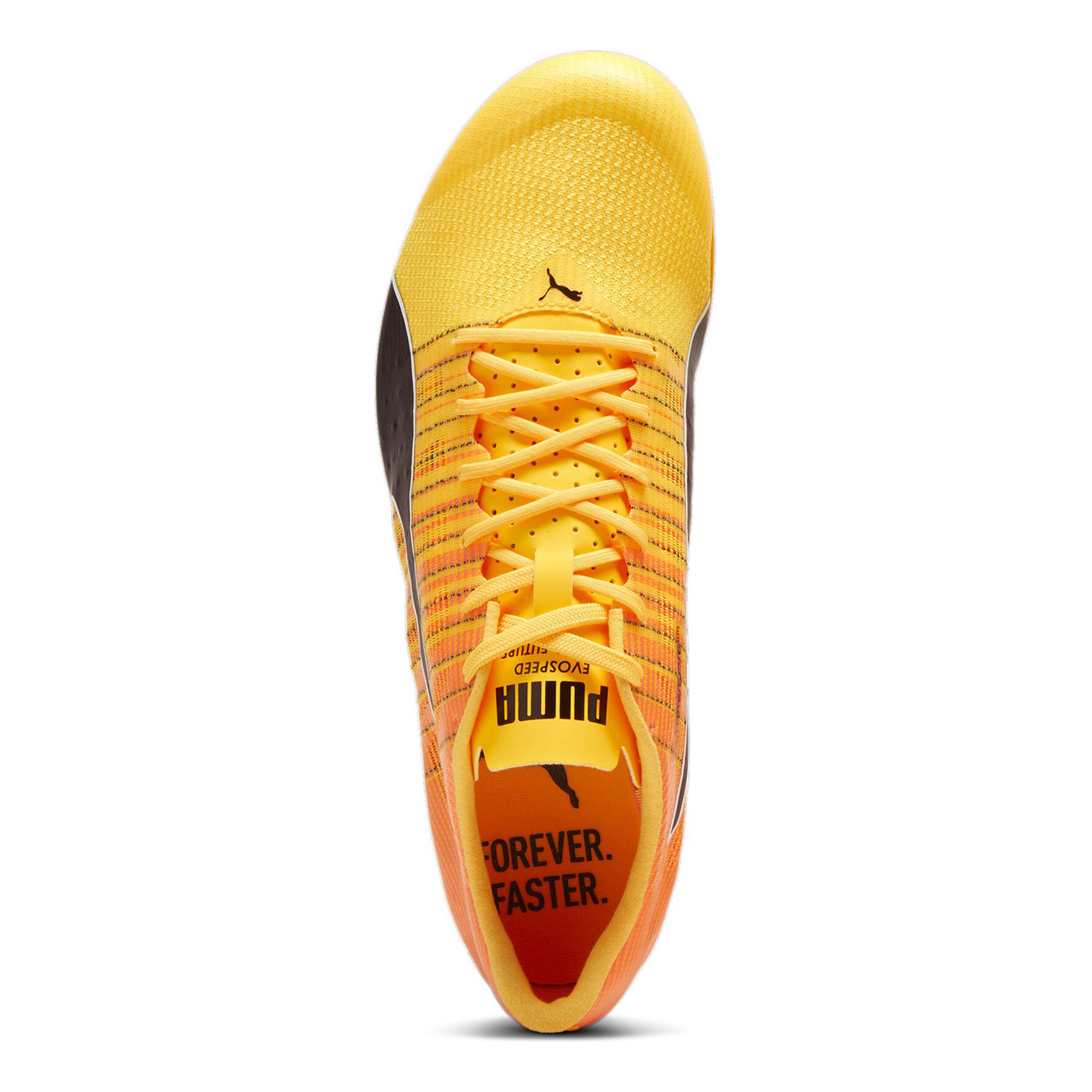Puma forever faster spikes hotsell