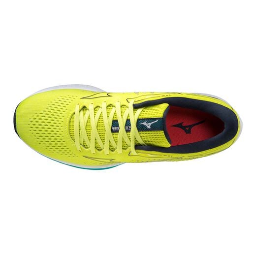 Mizuno