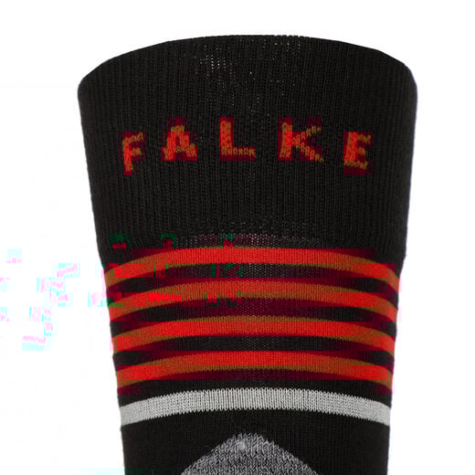 Falke