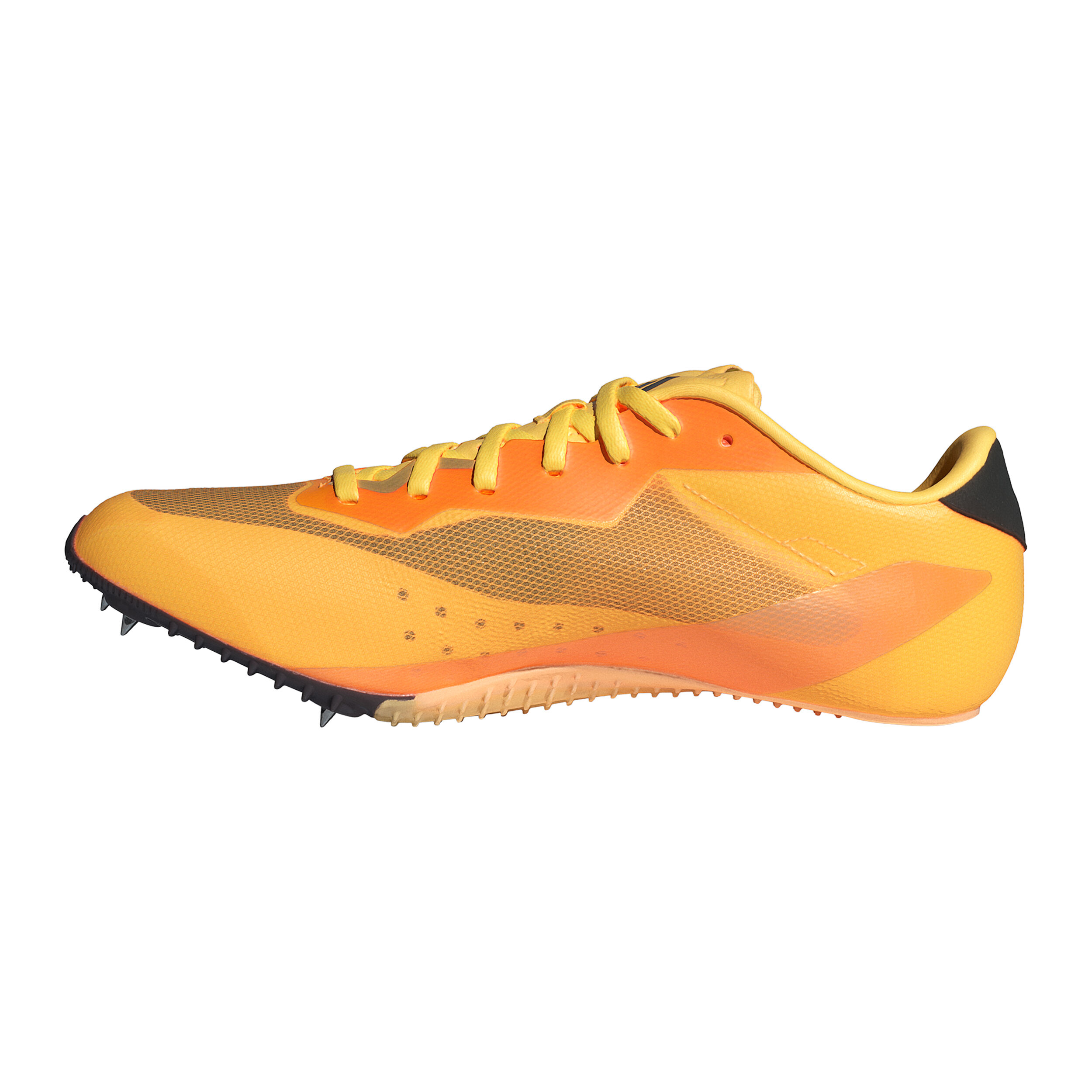 Buy adidas Sprintstar Spike Shoes Orange Black online Running Point COM